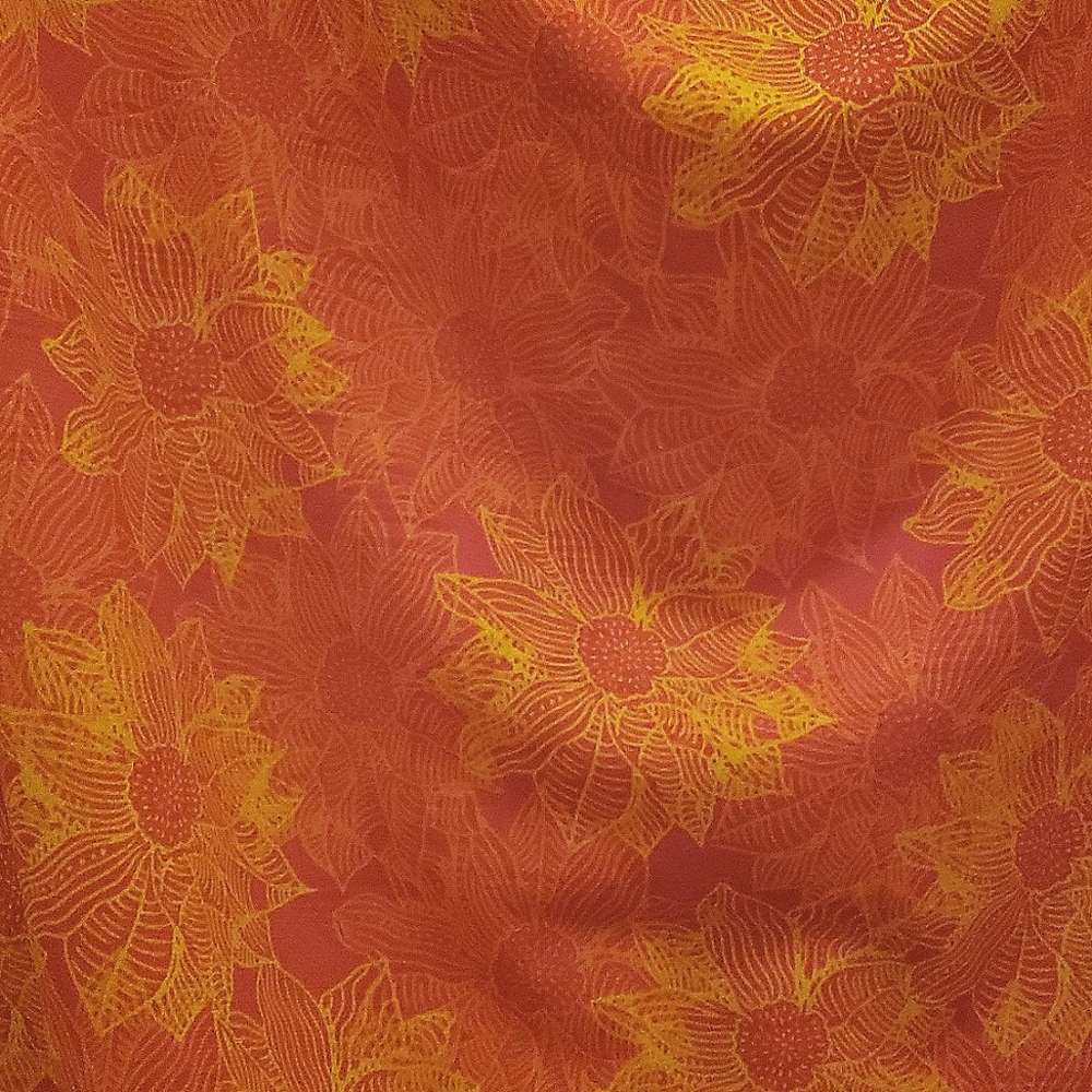 LulaRoe Maxi Skirt/Dress - Picture 2 of 4